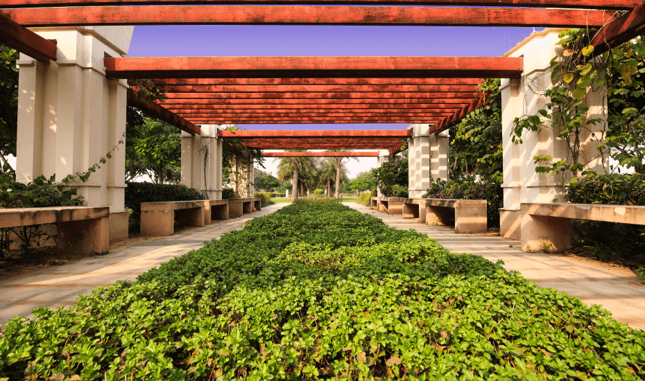 Lush Green Spaces