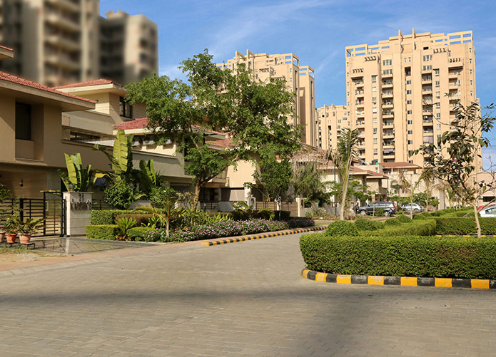 Lush Green Spaces
